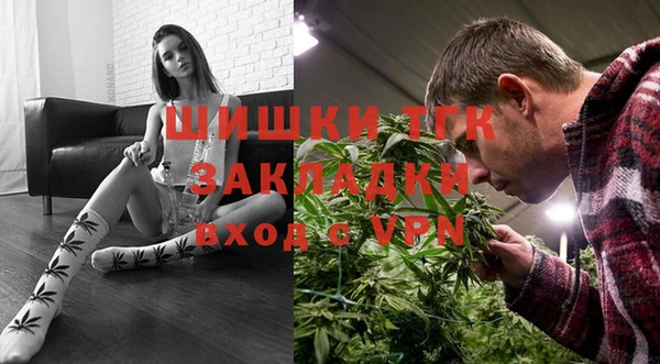 гидра Алексеевка