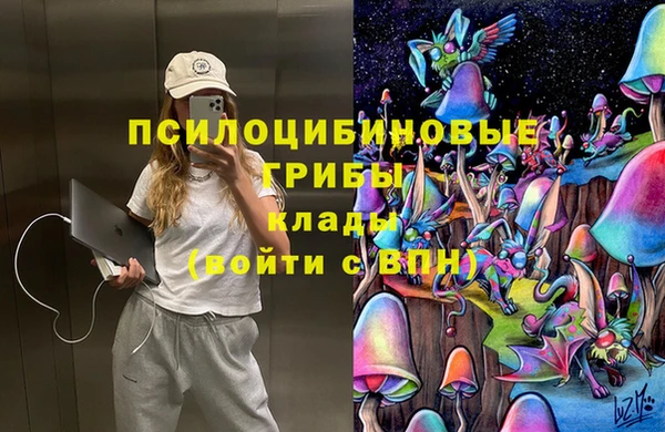 гидра Алексеевка