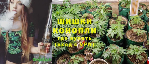 Альфа ПВП Алзамай