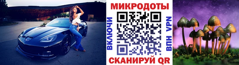 купить  цена  Североуральск  Псилоцибиновые грибы мицелий 